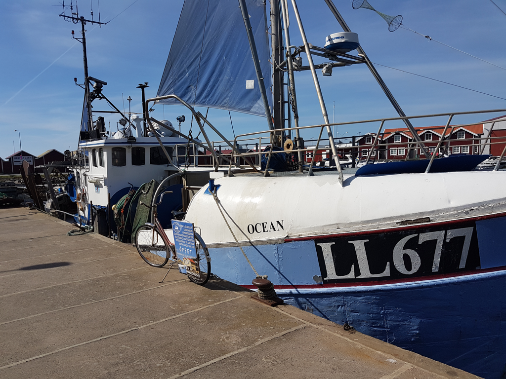 Ocean-LL677